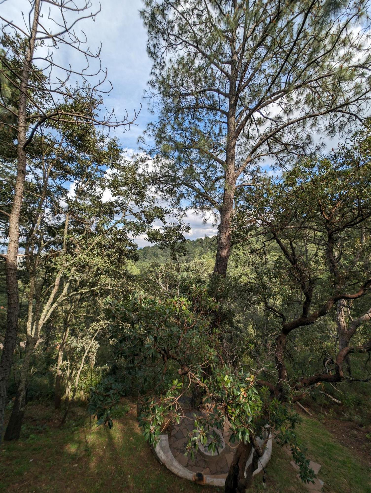 Cabana La Finca מסמיטלה מראה חיצוני תמונה